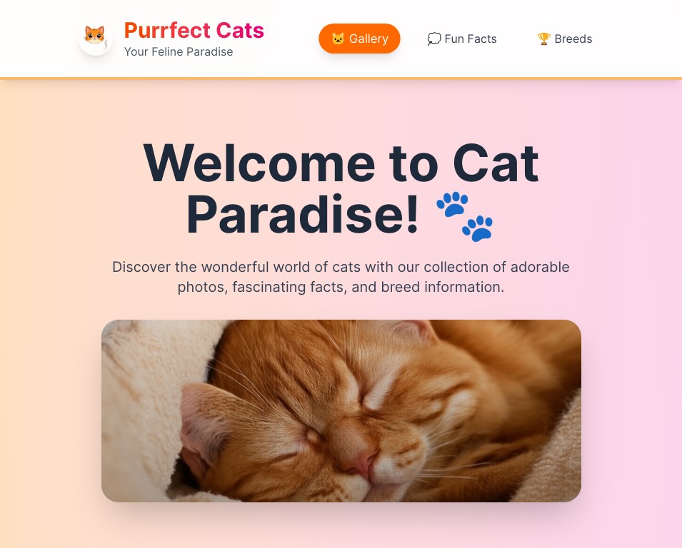 Purrfect Cats - Your Feline Paradise